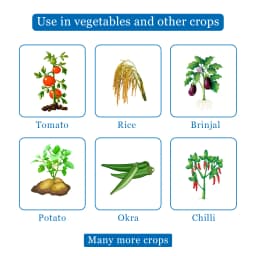 Swal Kinsta Chlorantraniliprole 18.5% SC Insecticide, Effective Pest Control on Various Crops 4