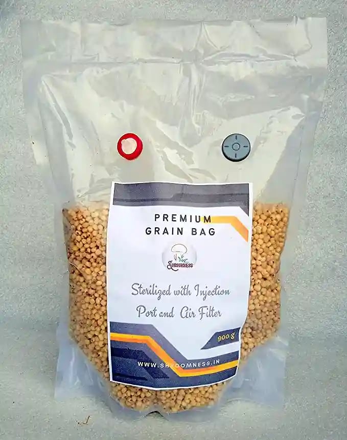 SporeKart Grain Bag with Injection Port and Air Filter, Sterile Shroomness Grain