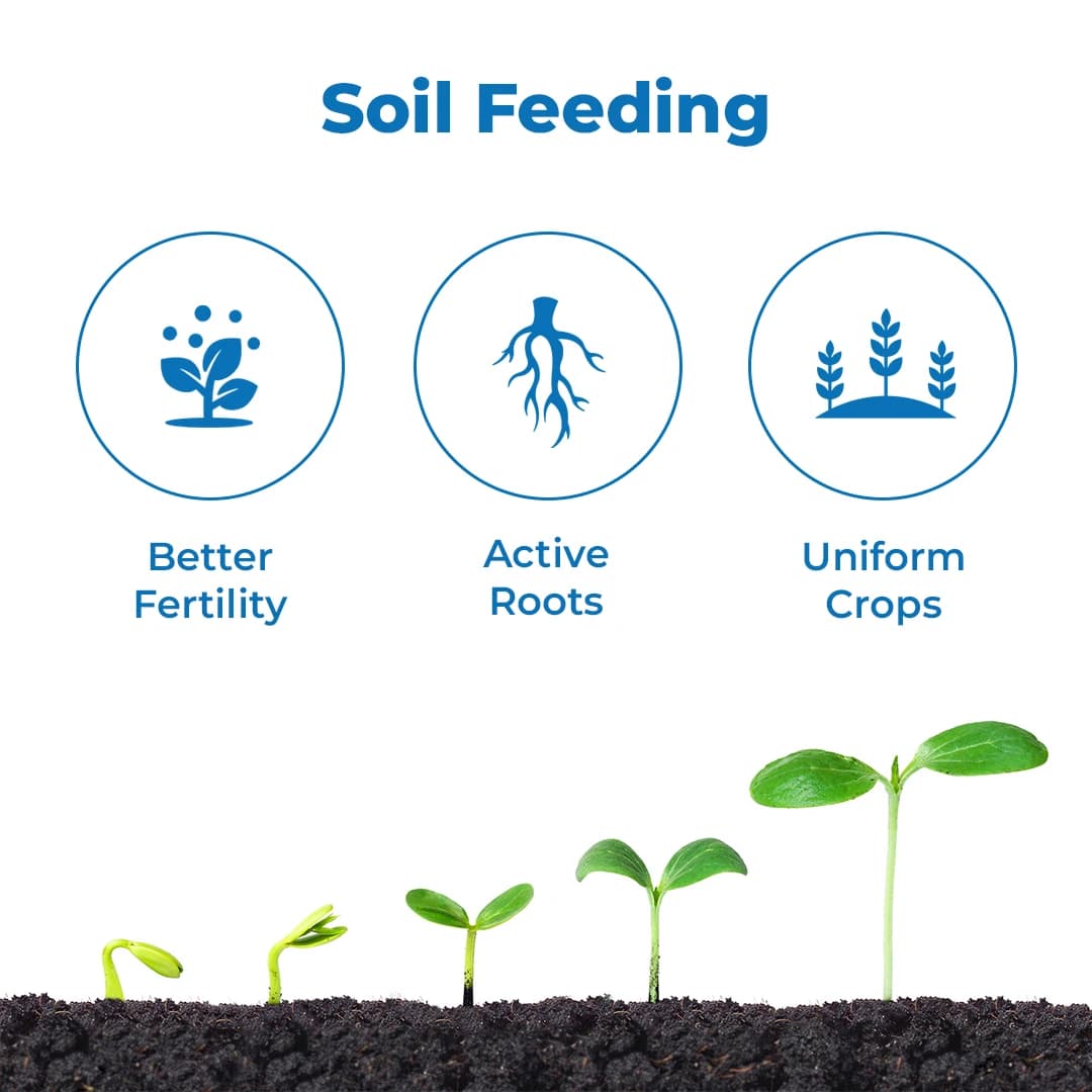 डॉ. बैक्टो ग्लूकोन - गन्ने के पौधे की जड़ों, तनों और पत्तियों में नाइट्रोजन स्थिरीकरण, जड़ों की वृद्धि को बढ़ावा देता है - Image 3