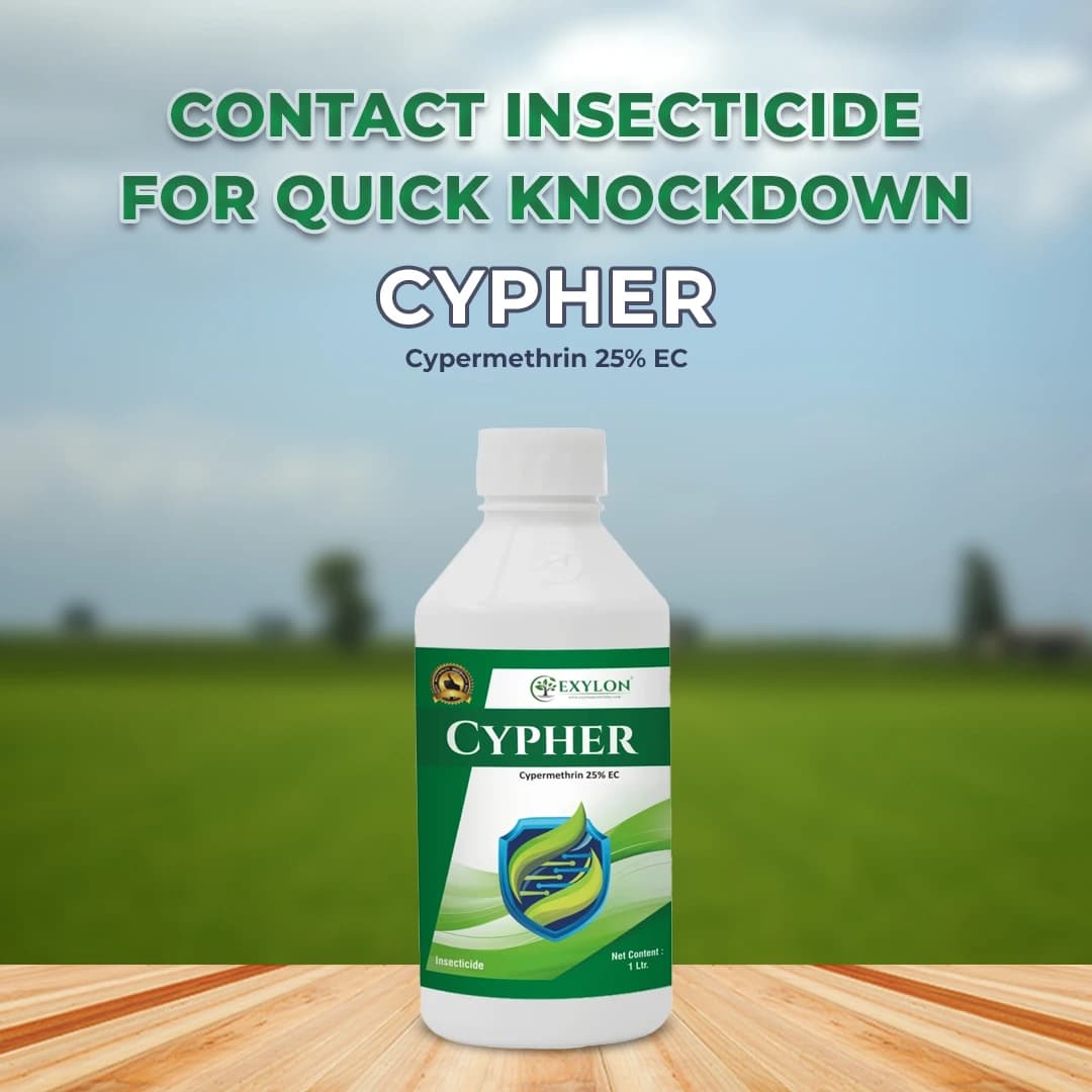 Exylon Cypher Insecticide - Cypermethrin 25% EC - Image 2