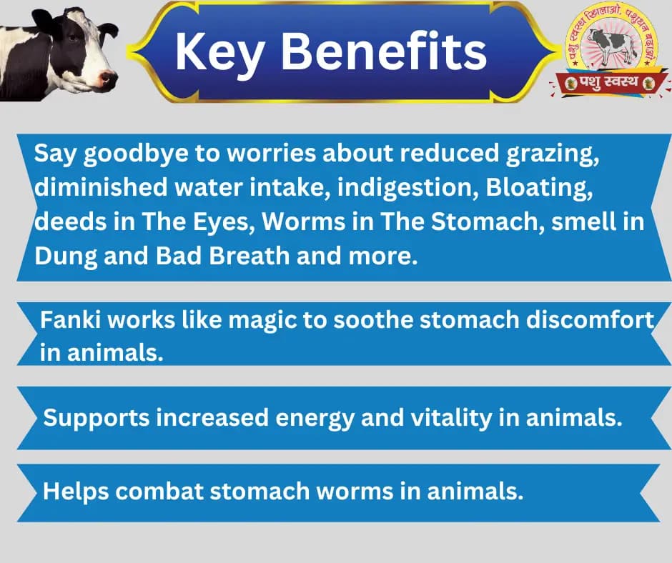 PASHU SVASTH PSF GOLD FANKI-A, Complete Animal Health Supplement Made From Traditional Herbs - Image 2