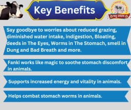 PASHU SVASTH PSF GOLD FANKI-A, Complete Animal Health Supplement Made From Traditional Herbs 2