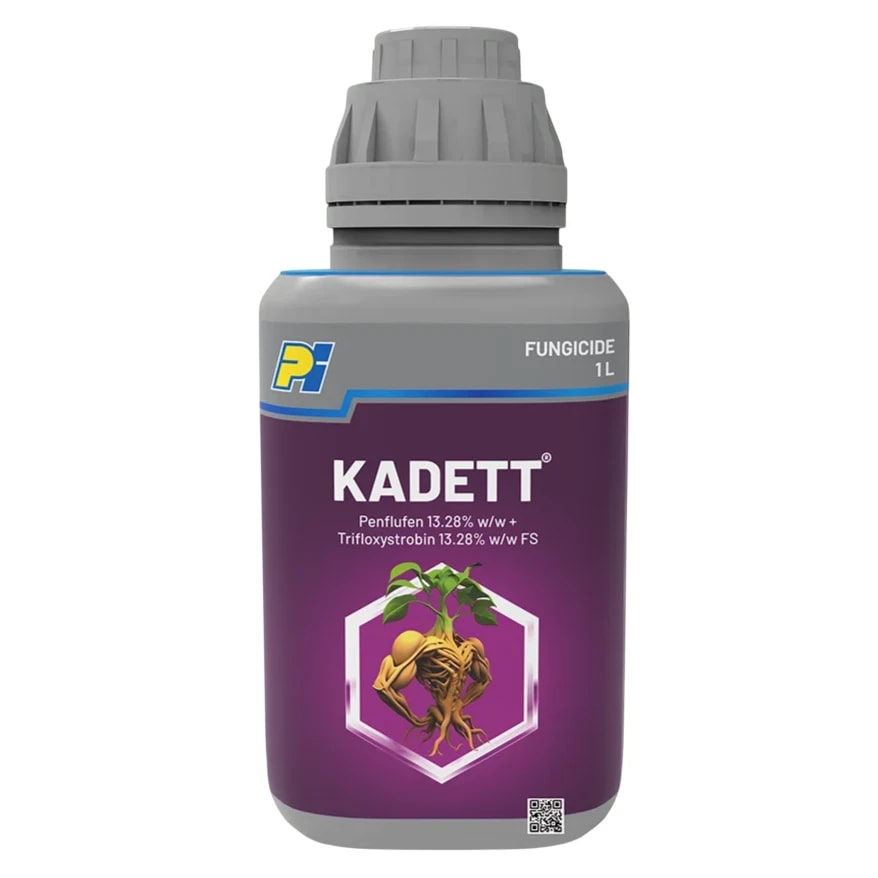 Pi KADETT Penflufen 13.28% + Trifloxystrobin 13.28% FS Fungicide, Effective Combination For Seed Treatment