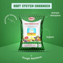 T. Stanes Symbion VAM Plus Mycorrhizal Biofertilizer, Efficient For Root Growth And Nutrient Booster In Crop 2