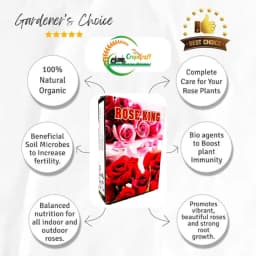 क्रॉपक्राफ्ट रोज किंग उर्वरक, हाइब्रिड और पारंपरिक गुलाब की किस्मों में फूलों की वृद्धि को बढ़ाता है। 2