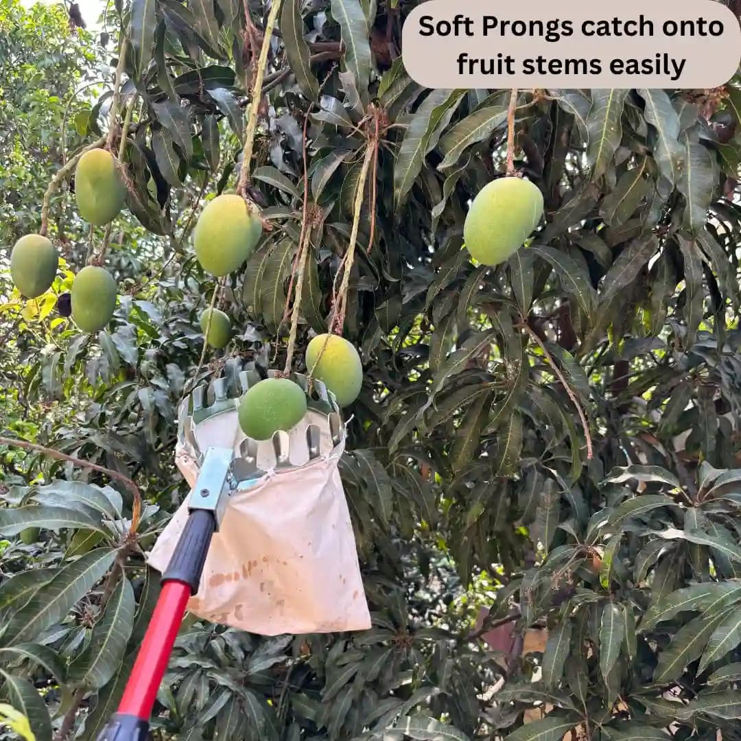 Sakha Agro Fruit Picker, Head Basket for Picking and Gathering Fruits Like Mango, Guava, Pear, Apple, Orange, Lightweight Tool (Without Pipe) - Image 4