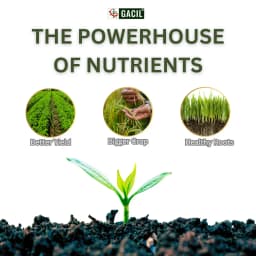 GACIL Calcium Magnesium Nitrate Liquid Micronutrient Fertilizer for Plant Growth 5