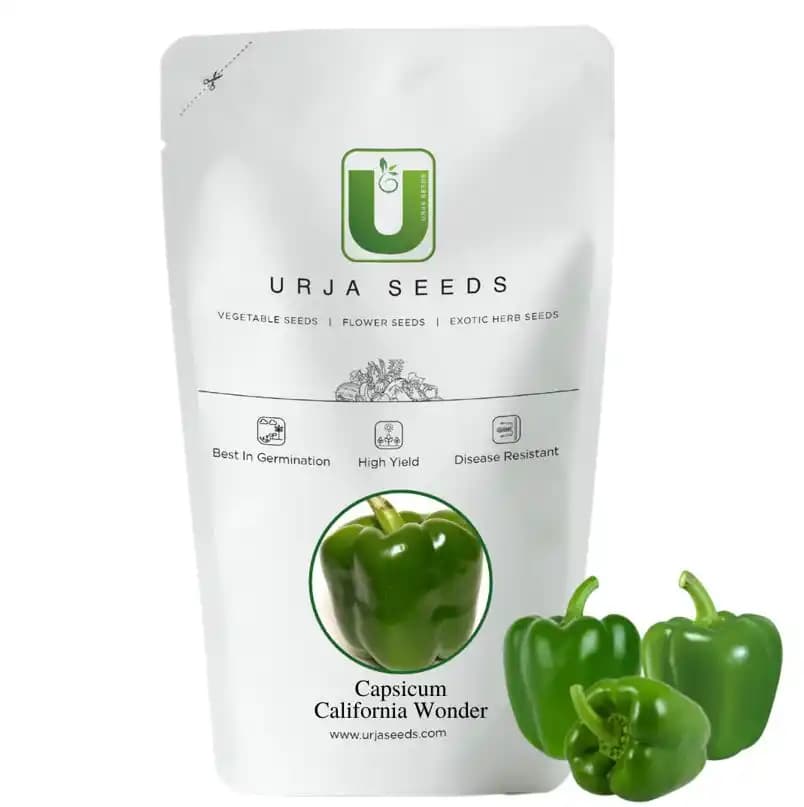 Urja California Wonder Capsicum Seeds, Green Color, Excellent Germination Quality - Image 1