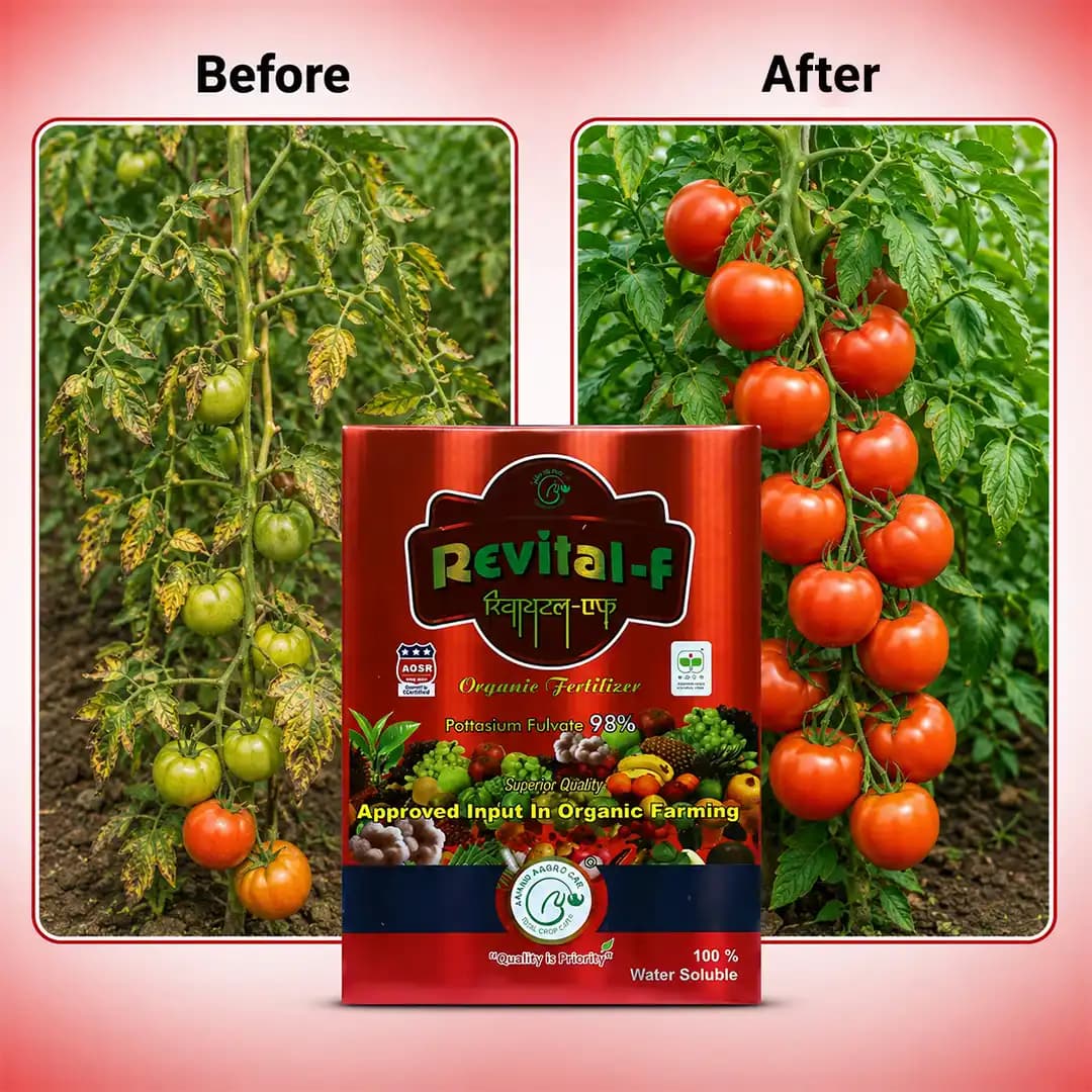 Revital-F Organic Fertilizer - Potassium Fulvate 98% - Image 7