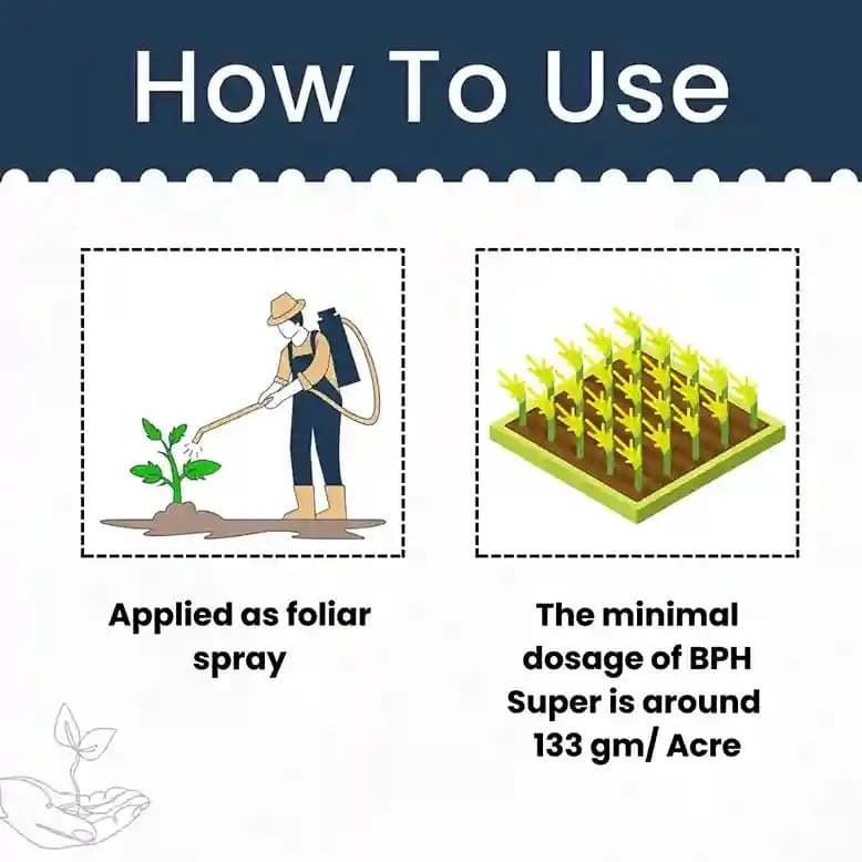 Katyayani BPH Super Plus Dinotefuran 15% + Pymetrozine 45% WG Insecticides, For Effective Rice Pest Protection - Image 5