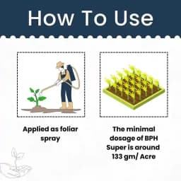 Katyayani BPH Super Plus Dinotefuran 15% + Pymetrozine 45% WG Insecticides, For Effective Rice Pest Protection 5