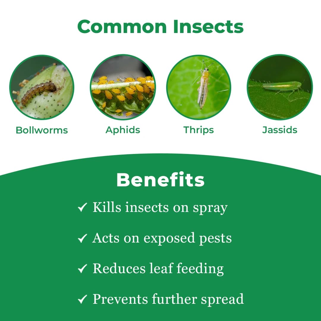 Exylon Cypher Insecticide - Cypermethrin 25% EC - Image 3