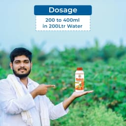 ईबीएस प्रमाण - प्रोफेनोफॉस 50% ईसी. कीटनाशक, एक ऐसा फार्मूला जिसमें सक्रिय घटक के रूप में प्रोफेनोफॉस शामिल है. 5