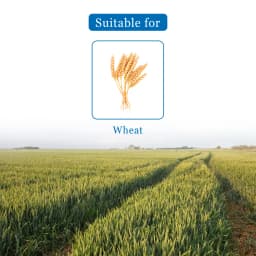Parijat Rubah Clodinafop Propargyl 15% WP, Post Emergent Herbicide, Best For Wheat Crop. 4