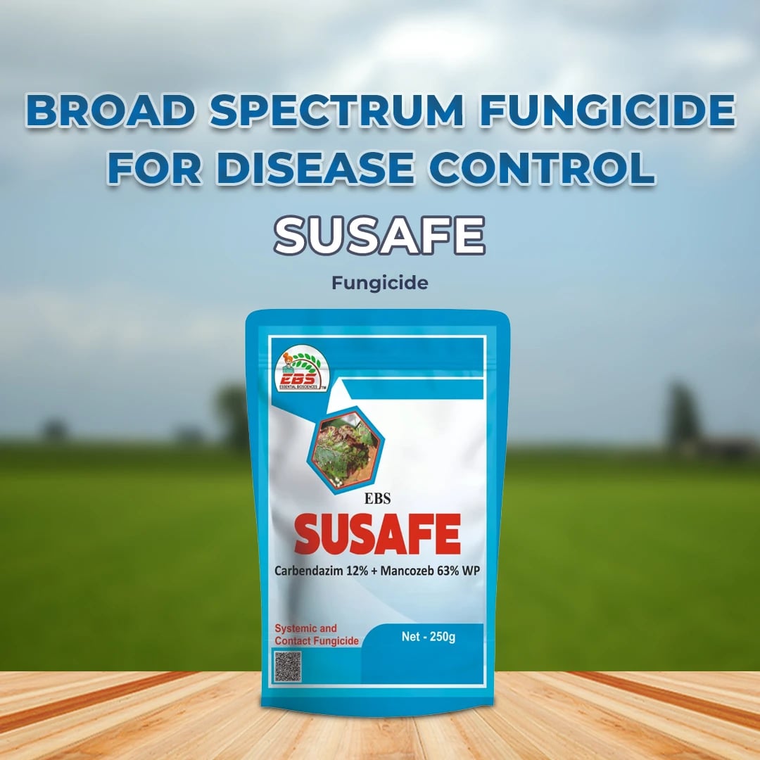 EBS Susafe Fungicide - Carbendazim 12% + Mancozeb 63% WP