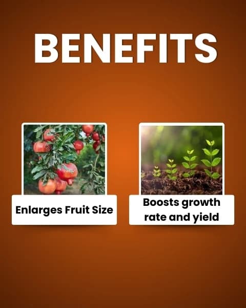 Katyayani Nutritious Plant Growth Regulator - Image 6