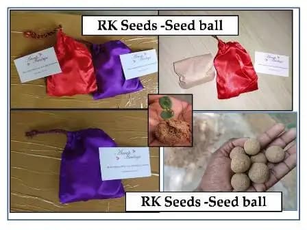RK Seeds - Seed Balls, Economically Important Tree Seeds Ball, Teak, Neem, Fruit Bearing Seeds Ball, Flowering Seed, Soil Erosion Control Seed Ball - Image 4
