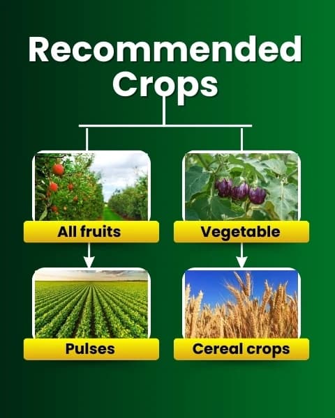 Katyayani Triple Attack Bio-Insecticide - Image 8