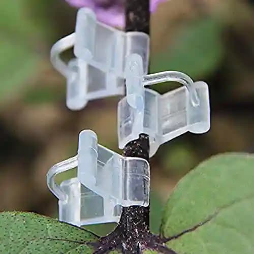 Siddhi Garden Plant Grafting Clip 4 to 6 mm Grafting Clip White,Plant Straightener Clip - Image 7