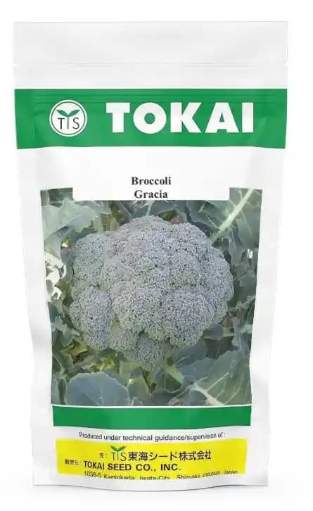 Tokai Hybrid F1 Broccoli Gracia Seeds, Phool Gobhi Ke Beej, Green In Color With Large Flower Heads - Image 1
