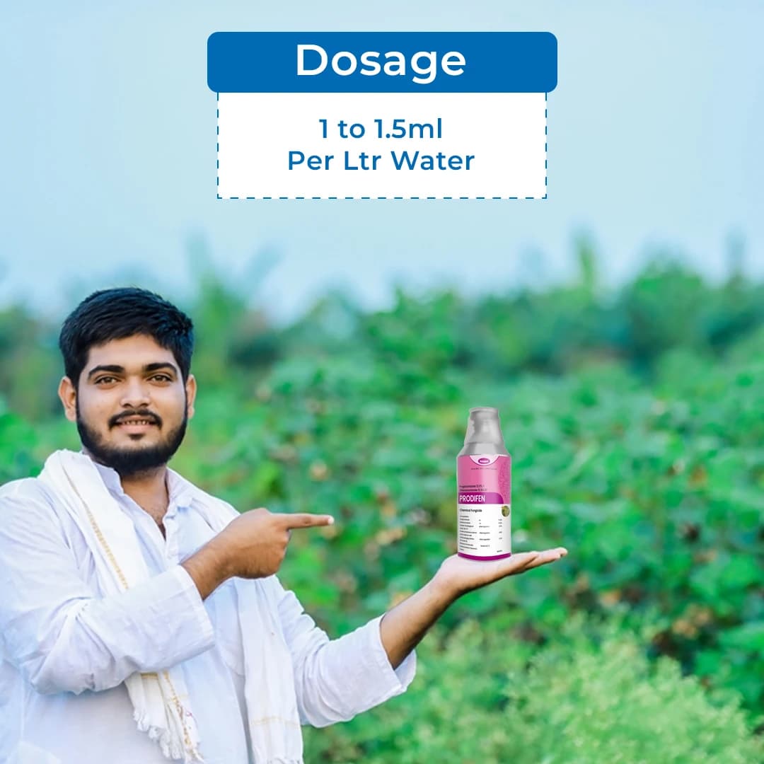 Katyayani Prodifen Propiconazole 13.9% + Difenoconazole 13.9% EC Fungicide, Control Of Sheath Blight - Image 5