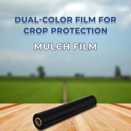 Siddhi Mulch Film Mulching Sheet (1 Meter Width X 400 Meters Length) Black and Silver 2