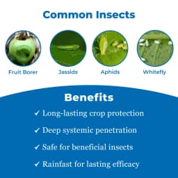 Bayer Alanto Thiacloprid 240 SC 21.7% ww Insecticides, Belongs to a Group of Neonicotinoid, An Effective Tool and Broad Spectrum of Pests 3