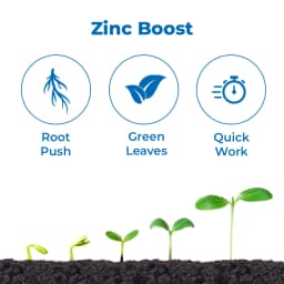 Tata Rallis Nayazinc Fertilizer, Zinc Polyphosphate, Promotes Plant Growth, Development And Yield 3