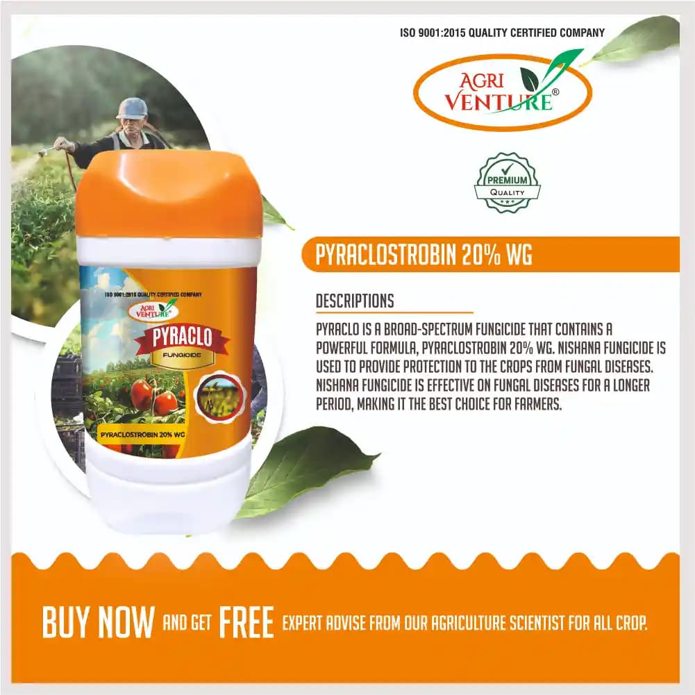Agriventure PYRACLO Pyraclostrobin 20% WG, Broad-Spectrum Systemic Fungicide For Multiple Crops - Image 2