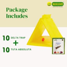 WAVAR Tuta Absoluta Delta Trap, Effective For Tomato Leaf Miner Pest Control In Crops 3
