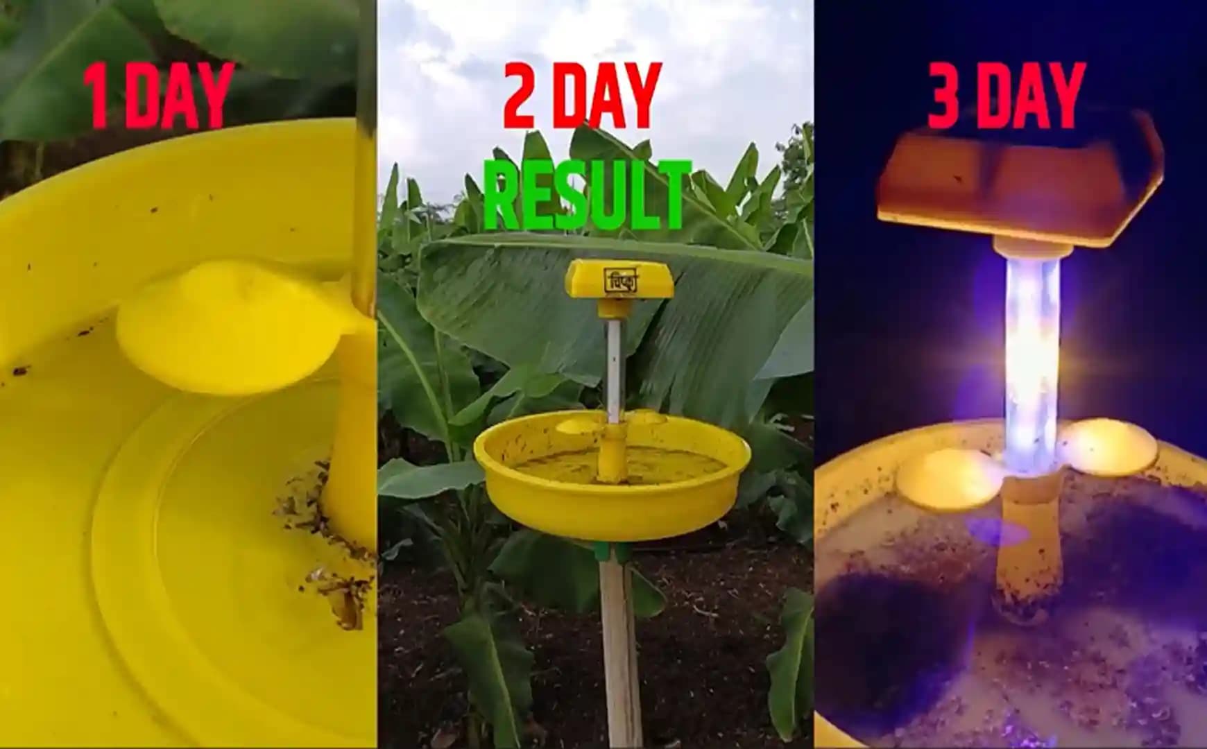 Chipku Mini Solar Insect Trap For Agriculture With UV Light, Solar Light Trap For Agriculture Insects Pests With 6 Months Warranty - Image 6