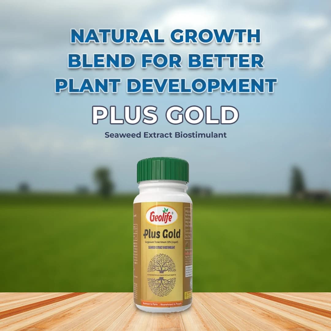Geolife Plus Gold Seaweed Extract Biostimulant - Image 2
