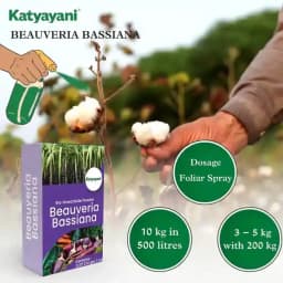 Katyayani Beauveria Bassiana Bio Insecticide Powder, Advanced Natural Insect Control Solution & Pest Management 3