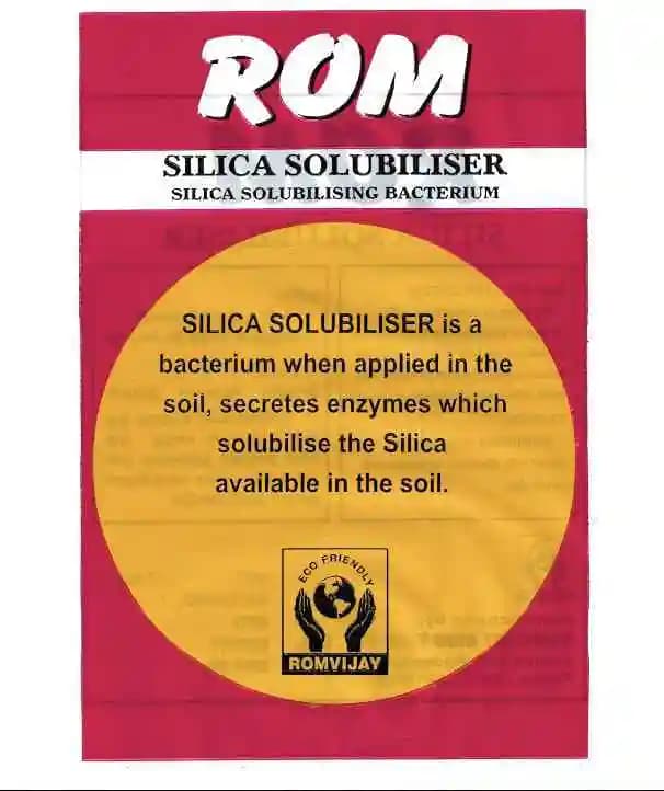 ROM Silica Solubliser Powder Bio Fertilizer (Silica Solubilising Bacterium) - Image 1
