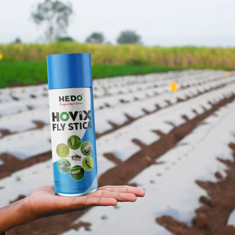 Hedoag Hovix Fly Sticky Spray, Used To Control Fruit Flies And All Sucking Pests (425 ml) - Image 3