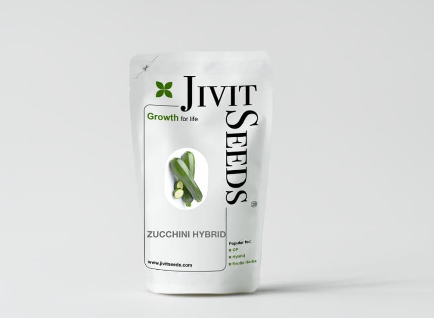 Jivit F1 Hybrid Zucchini Seeds Arjun Light Green, Early Maturity, Vigorous Growing Bush With Early Maturity. - Image 3