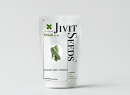 Jivit F1 Hybrid Zucchini Seeds Arjun Light Green, Early Maturity, Vigorous Growing Bush With Early Maturity. 3