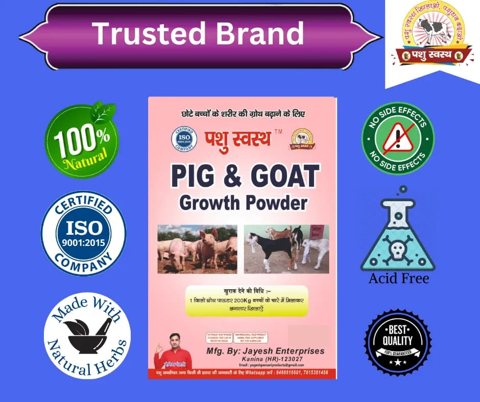 PASHU SVASTH PIG & GOAT GROWTH POWDER, Boost Growth, Weight Gain And Immunity Natural Herbs For Animal - Image 7