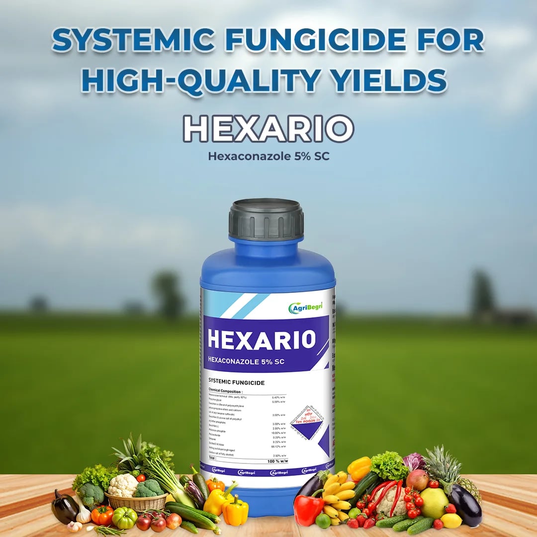 AgriBegri Hexario Fungicide (Hexaconazole 5% SC) Broad Spectrum Systemic Triazole Fungicide