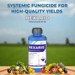 Hexario Fungicide - Hexaconazole 5% SC 2
