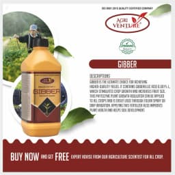 Agriventure Gibber (Gibberellic Acid 0.001% SL) PGR - Plant Growth Regulator, Best For All Crops 3
