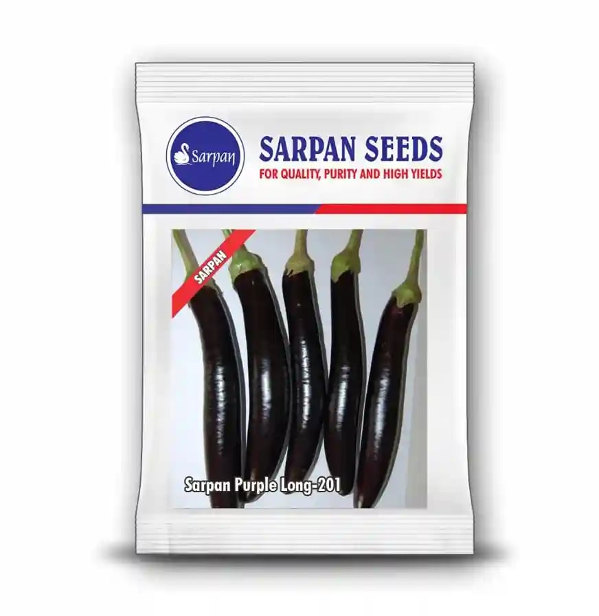 Sarpan Purple Long-201 Brinjal Seeds - (Baingan Seeds) Excellent Germination, Low Seeded, Fruit Is Dark Purple