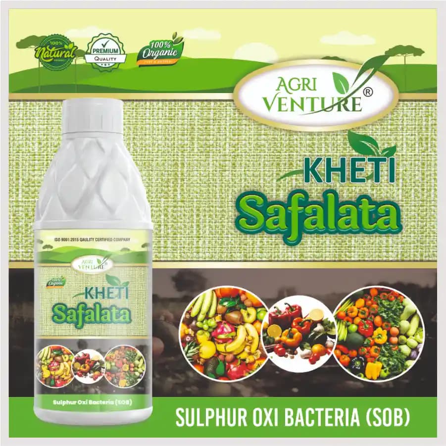 Agriventure Kheti Safalata (Sob - Sulphur Oxi Bacteria) Improves Soil Fertility Bactericide Organic Product Bio Fertilizer - Image 2