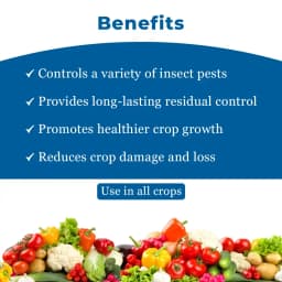 Agriventure Chlorpy (Chlorpyrifos 50% Ec) Contact And Stomach Action Insecticide 4
