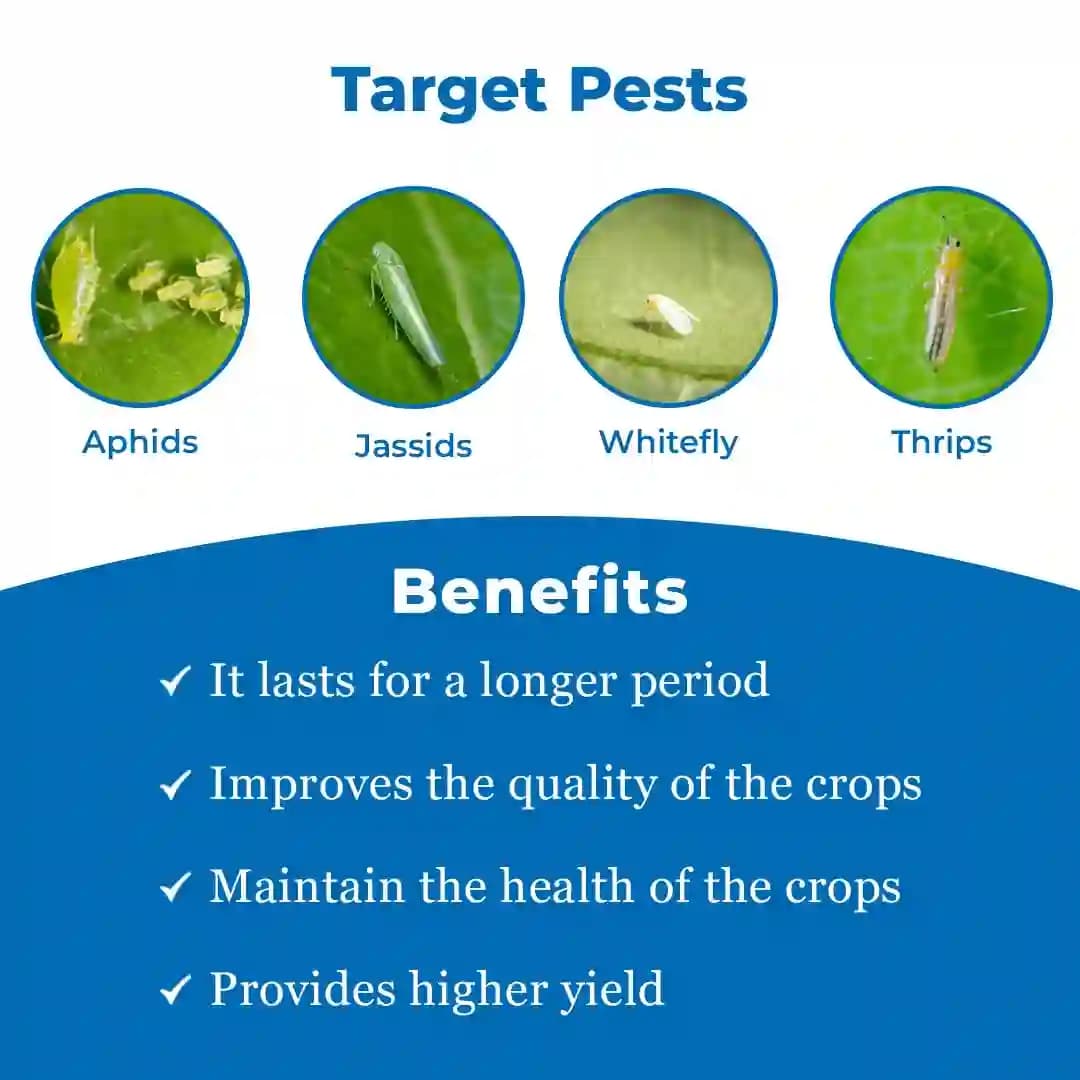 Midatek Insecticide - Imidacloprid 30.5% SC - Image 3