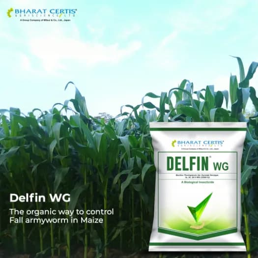 Bharat Certis DELFIN WG Bacillus Thuringiensis WG Biological Insecticide, Effective Control Lepidopteran Larvae And Caterpillars In Crops - Image 3