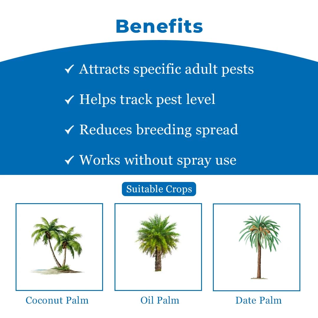 फेरोमोन ट्रैप और ल्यूर (राइन्कोफोरस फेरुगिनस) आरपीडब्ल्यू - रेड पाम वेविल, नारियल पाम, खजूर पाम, ऑयल पाम और एरेका नट पाम के लिए उपयोगी। - Image 4