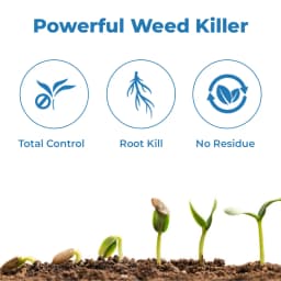 GSP Runout Glyphosate 41% SL Herbicide, Broad Spectrum, Non Selective, Systemic 3