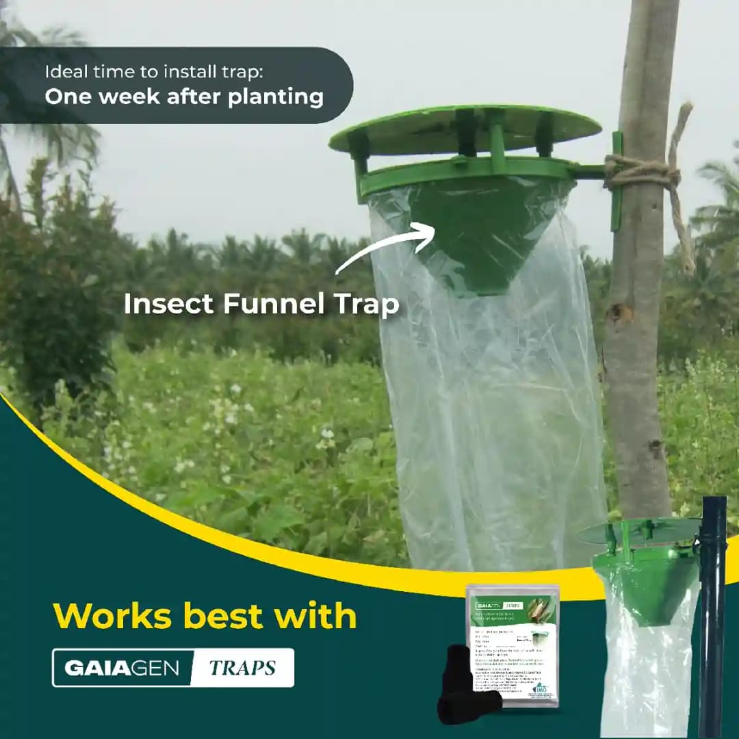 Gaiagen Yellow Rice Stem Borer (Scirpophaga Incertulas) Pheromones Lure And Funnel Insect Traps Combo, IMO Certified. - Image 5