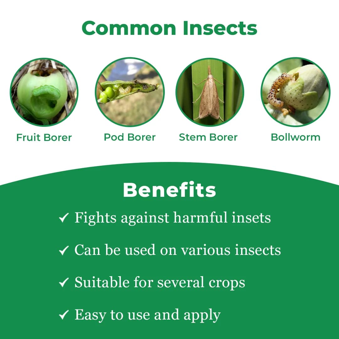 लामोर प्रो -धान में तना छेदक, पत्ती मोड़क, बैंगन में छेदक, थ्रिप्स आदि कीटों का प्रभावी नियंत्रण। - Image 3